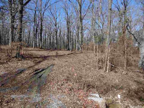 14216 Alexander Rd, Alexander, AR 72002 photo 15