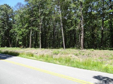 14216 Alexander Rd, Alexander, AR 72002 photo 33