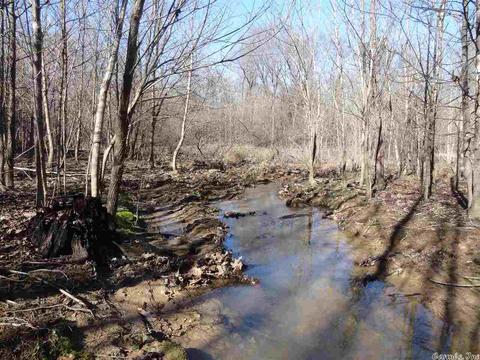 14216 Alexander Rd, Alexander, AR 72002 photo 28