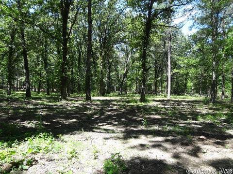 14216 Alexander Rd, Alexander, AR 72002 photo 2