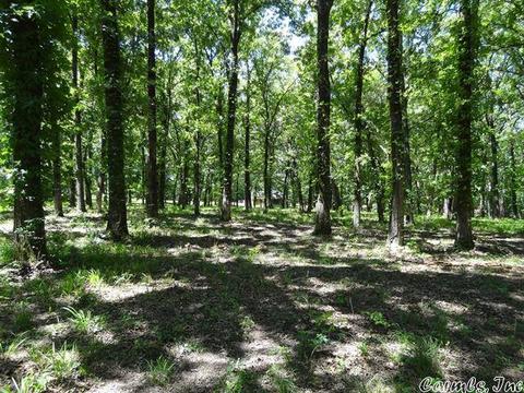14216 Alexander Rd, Alexander, AR 72002 photo 5