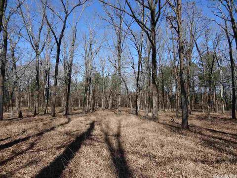 14216 Alexander Rd, Alexander, AR 72002 photo 17