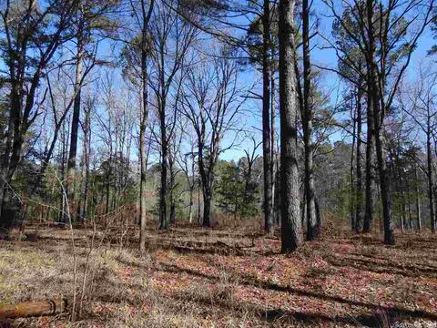 14216 Alexander Rd, Alexander, AR 72002 photo 20