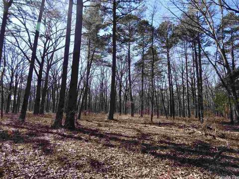 14216 Alexander Rd, Alexander, AR 72002 photo 27
