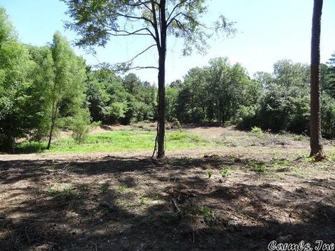 14216 Alexander Rd, Alexander, AR 72002 photo 7