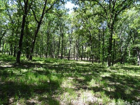14216 Alexander Rd, Alexander, AR 72002 photo 1
