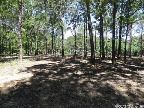 14216 Alexander Rd, Alexander, AR 72002 photo 6