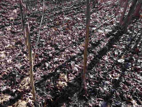 14216 Alexander Rd, Alexander, AR 72002 photo 30