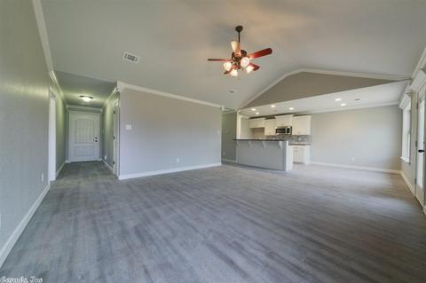 16 Caroline Cv, Ward, AR 72176 photo 5
