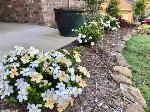 1826 Milburn, Benton, AR 72015 photo 2