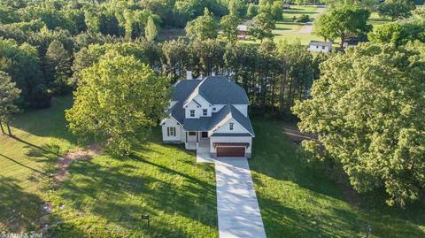 93 Moseley Ln, Conway, AR 72032 photo 3