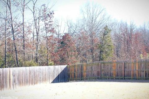 149 Corbin Cir, Cabot, AR 72023 photo 14