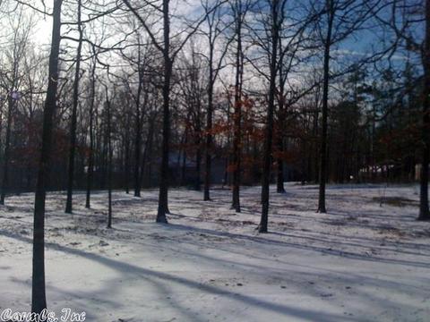 22 Mikoleit Rd, Bigelow, AR 72016 photo 5