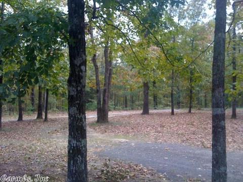 22 Mikoleit Rd, Bigelow, AR 72016 photo 2