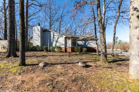 90 Rolling Oaks Dr, Maumelle, AR 72113 photo 17