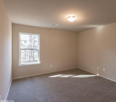 6476 Amalie Dr, Alexander, AR 72002 photo 10