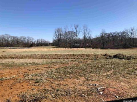 105 16th Section Cemetery, Austin, AR 72007 photo 31