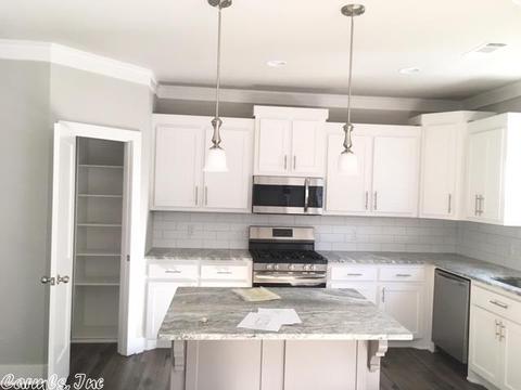 253 Prospect Park Cir, Bryant, AR 72022 photo 25