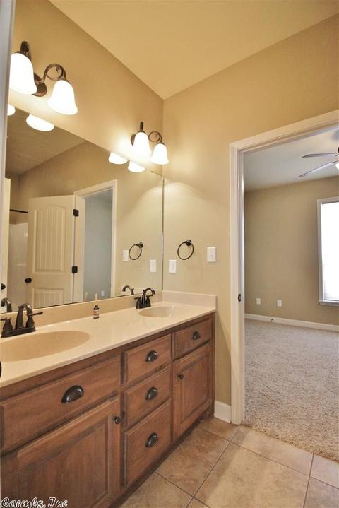 10076 Rhinestone, Alexander, AR 72002 photo 23