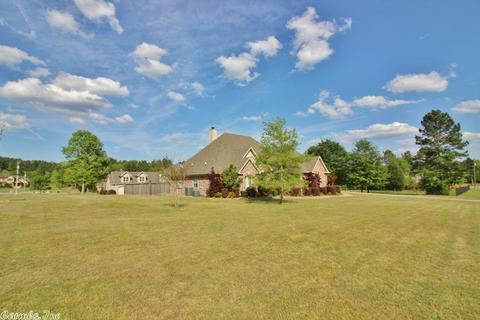 10076 Rhinestone, Alexander, AR 72002 photo 5