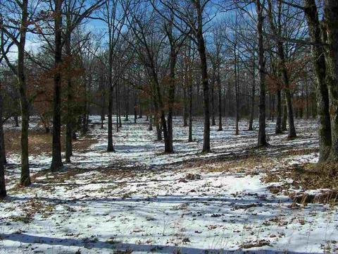 896 Foley Rd, Tilly, AR 72679 photo 18