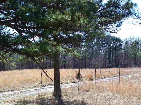 896 Foley Rd, Tilly, AR 72679 photo 7