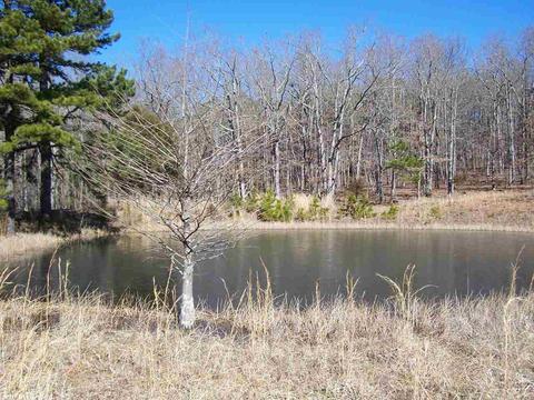 896 Foley Rd, Tilly, AR 72679 photo 15