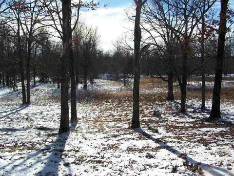 896 Foley Rd, Tilly, AR 72679 photo 22