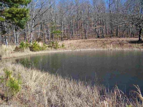 896 Foley Rd, Tilly, AR 72679 photo 6
