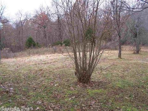307 Greene Road 562, Lafe, AR 72436 photo 19