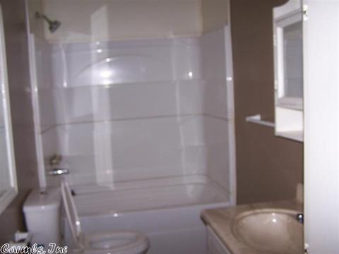 307 Greene Road 562, Lafe, AR 72436 photo 11