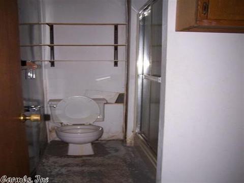 307 Greene Road 562, Lafe, AR 72436 photo 3