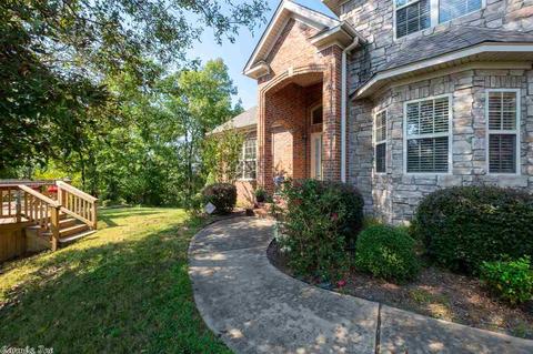 8 Bald Eagle Dr, Paron, AR 72122 photo 2