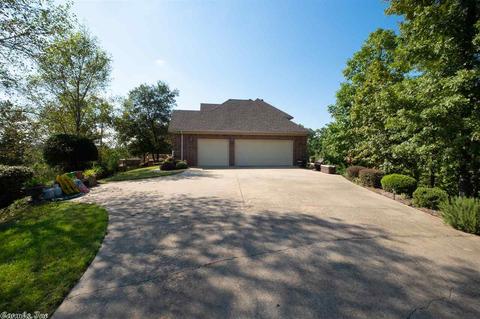 8 Bald Eagle Dr, Paron, AR 72122 photo 35