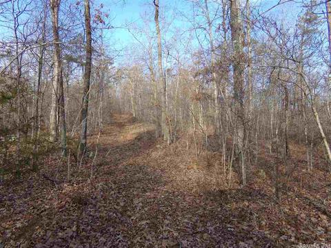 409 Rex Rd, Clinton, AR 72031 photo 28