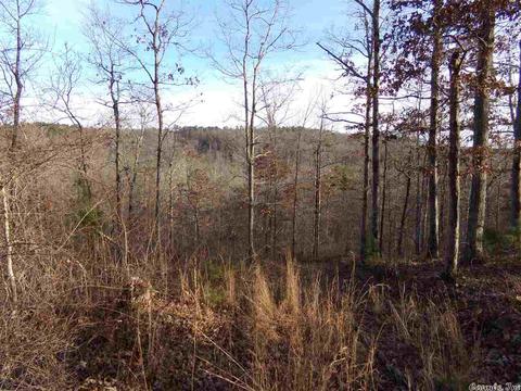 409 Rex Rd, Clinton, AR 72031 photo 20