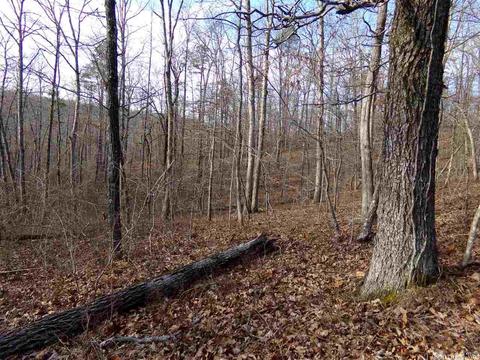 409 Rex Rd, Clinton, AR 72031 photo 11