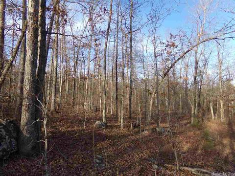409 Rex Rd, Clinton, AR 72031 photo 16
