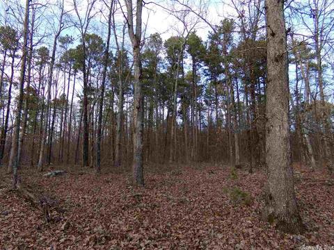 409 Rex Rd, Clinton, AR 72031 photo 36