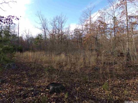 409 Rex Rd, Clinton, AR 72031 photo 19