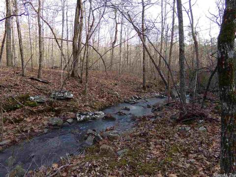 409 Rex Rd, Clinton, AR 72031 photo 10