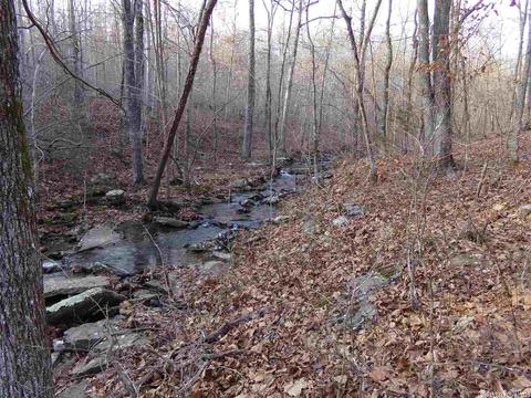 409 Rex Rd, Clinton, AR 72031 photo 27