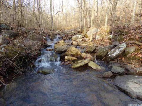 409 Rex Rd, Clinton, AR 72031 photo 9