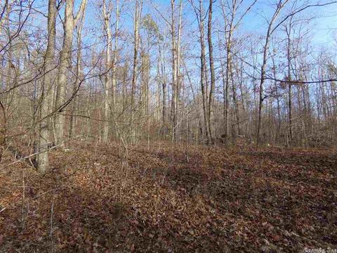 409 Rex Rd, Clinton, AR 72031 photo 24
