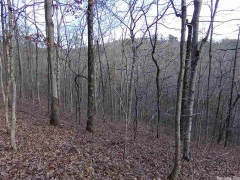 409 Rex Rd, Clinton, AR 72031 photo 34