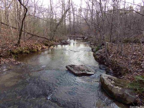 409 Rex Rd, Clinton, AR 72031 photo 22