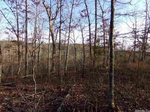 409 Rex Rd, Clinton, AR 72031 photo 17