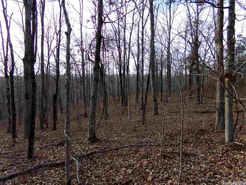 409 Rex Rd, Clinton, AR 72031 photo 32