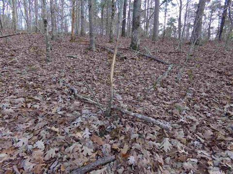 409 Rex Rd, Clinton, AR 72031 photo 37