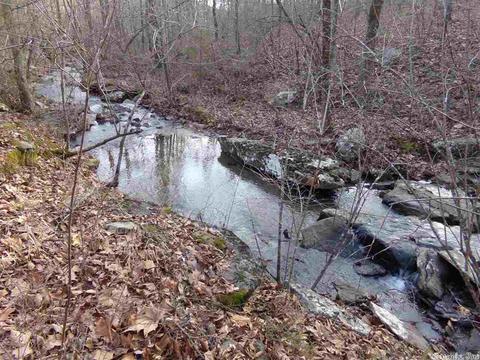 409 Rex Rd, Clinton, AR 72031 photo 26